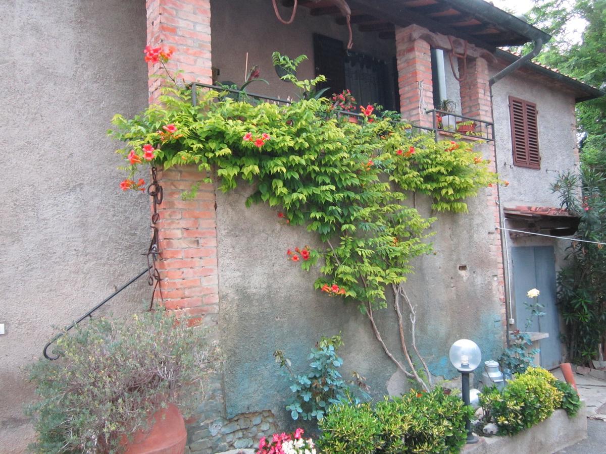 Agriturismo Il Colto San Gimignano Kültér fotó